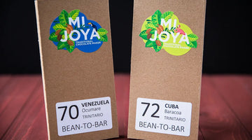 Beantobar.be : Experiences in the world of fine chocolate