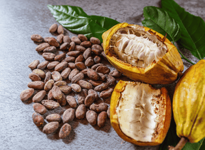 Du chocolat à la source (Moustique février 2021)