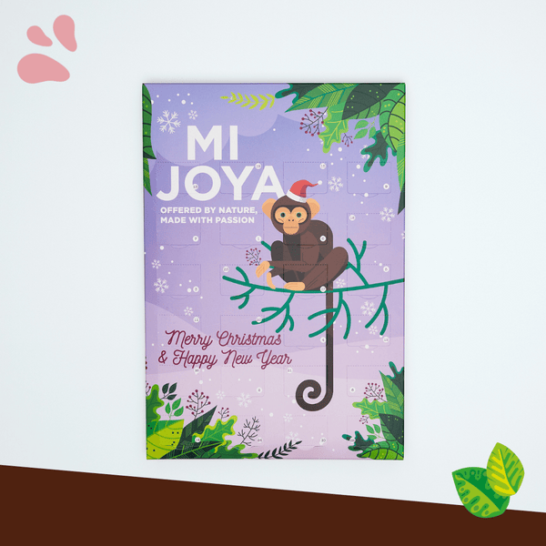 Calendrier de l'Avent