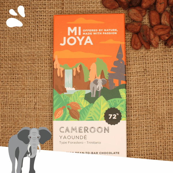 Cameroon - Yaoundé (dark)