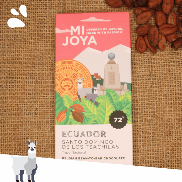 Ecuador - Santo Domingo de los Tsachilas (dark)
