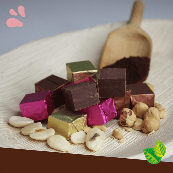 Huisgemaakte gianduja