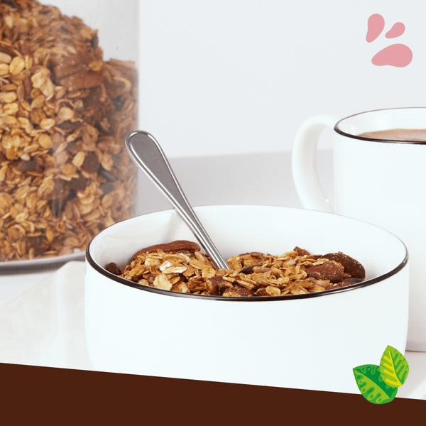 Huisgemaakte granola
