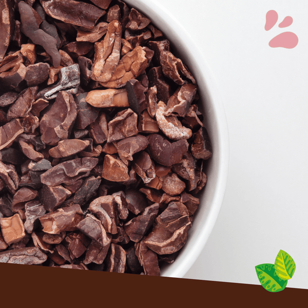 Éclats de cacao torréfiés